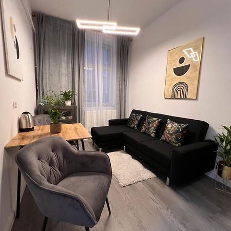Musai Apartment Brasov Bagian luar foto