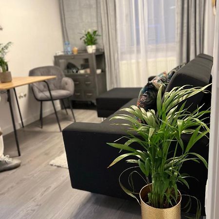 Musai Apartment Brasov Bagian luar foto