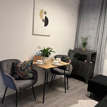 Musai Apartment Brasov Bagian luar foto
