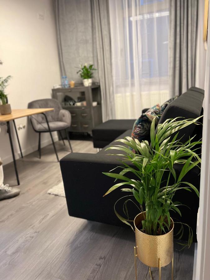 Musai Apartment Brasov Bagian luar foto